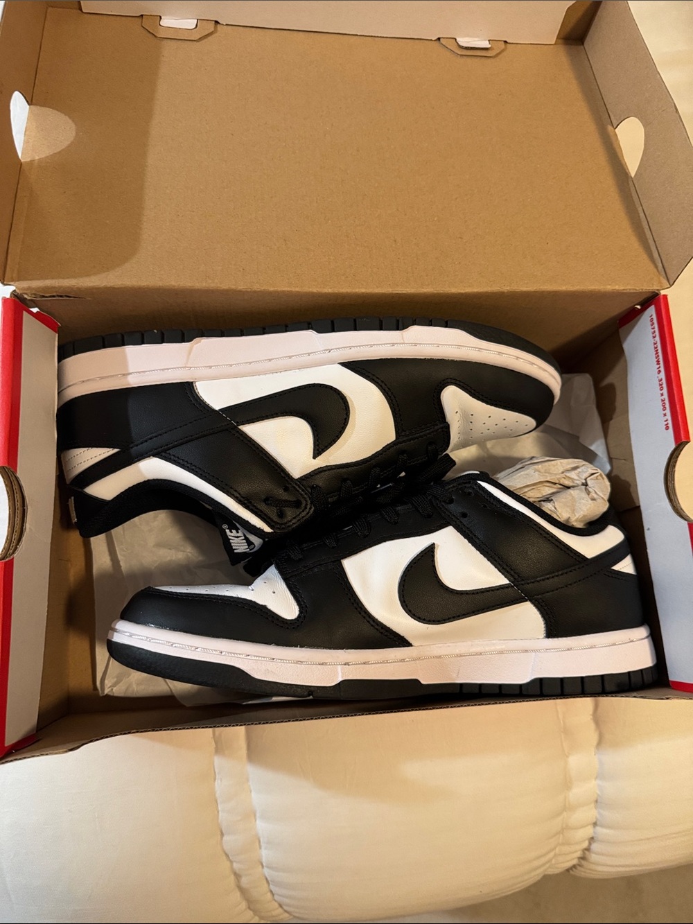 Nike Men's Black and White Low-Top Skate Sneakers